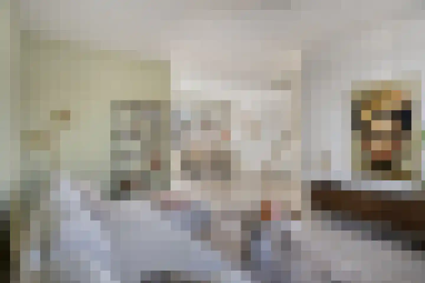 Kastanjehoutstraat 4 Helmond thumbnail 7