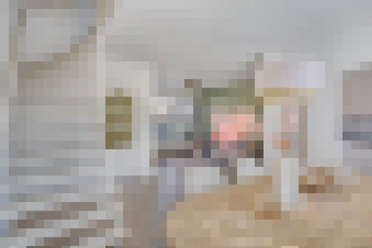 Kastanjehoutstraat 4 Helmond thumbnail 9