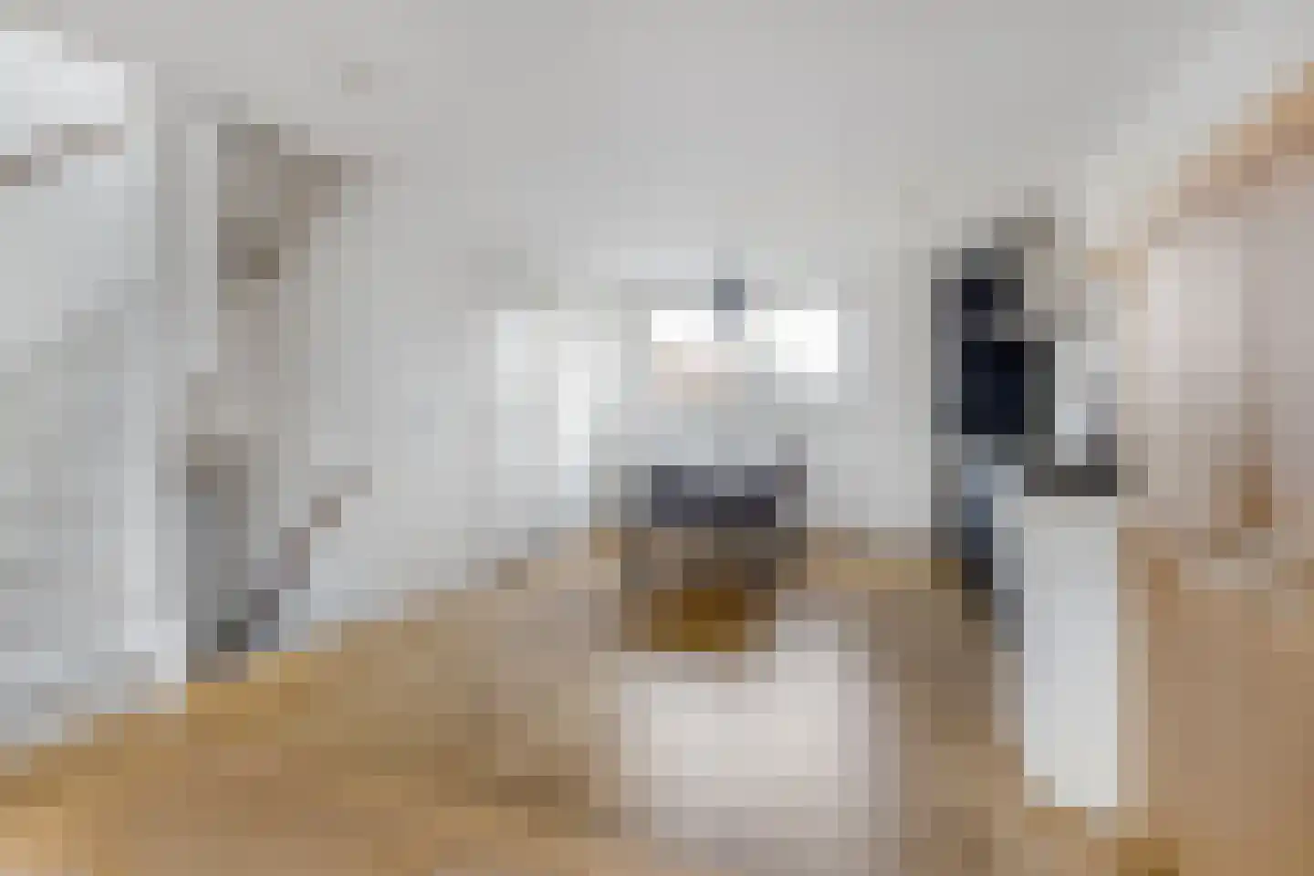 Kastanjekade 19 Leiden thumbnail 5