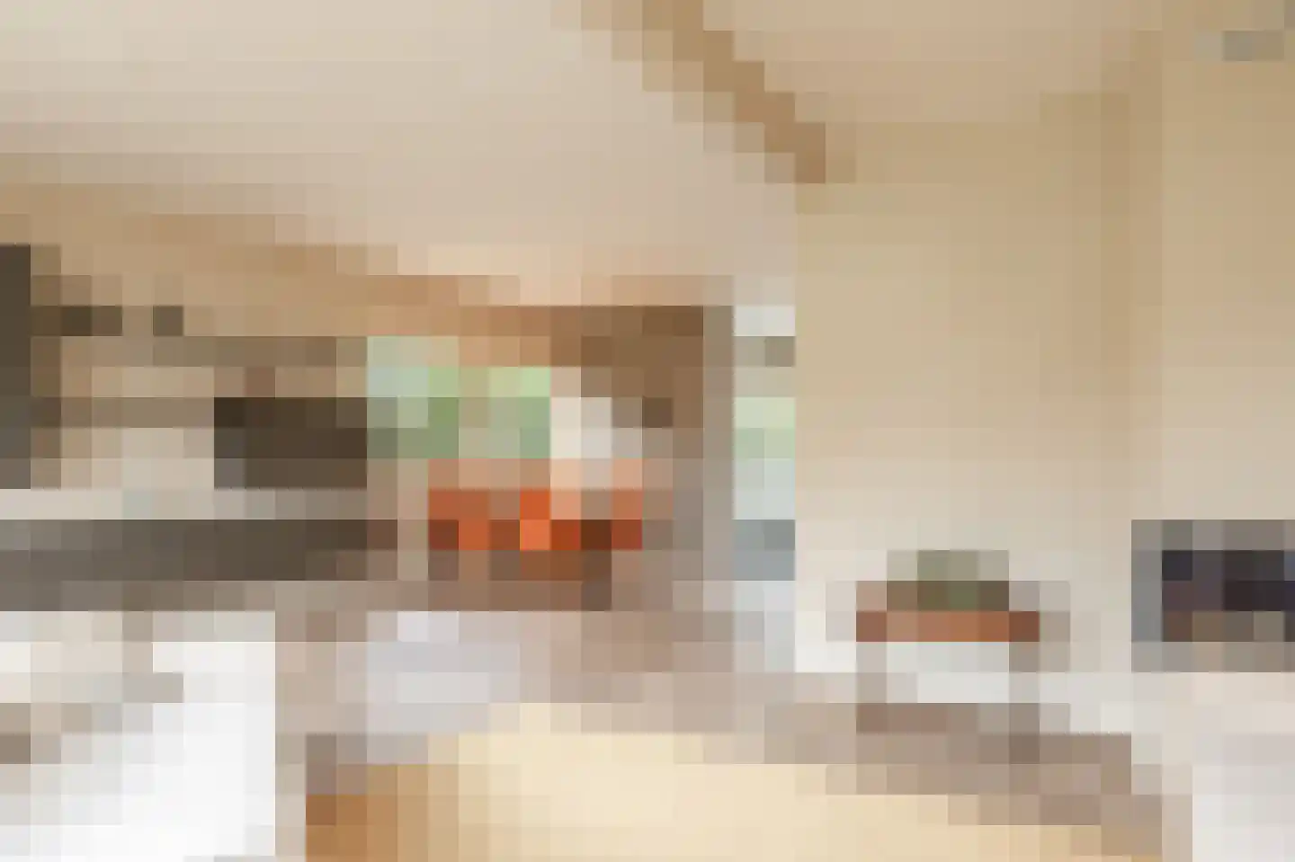 Kastanjelaan 1 a Heerde thumbnail 15