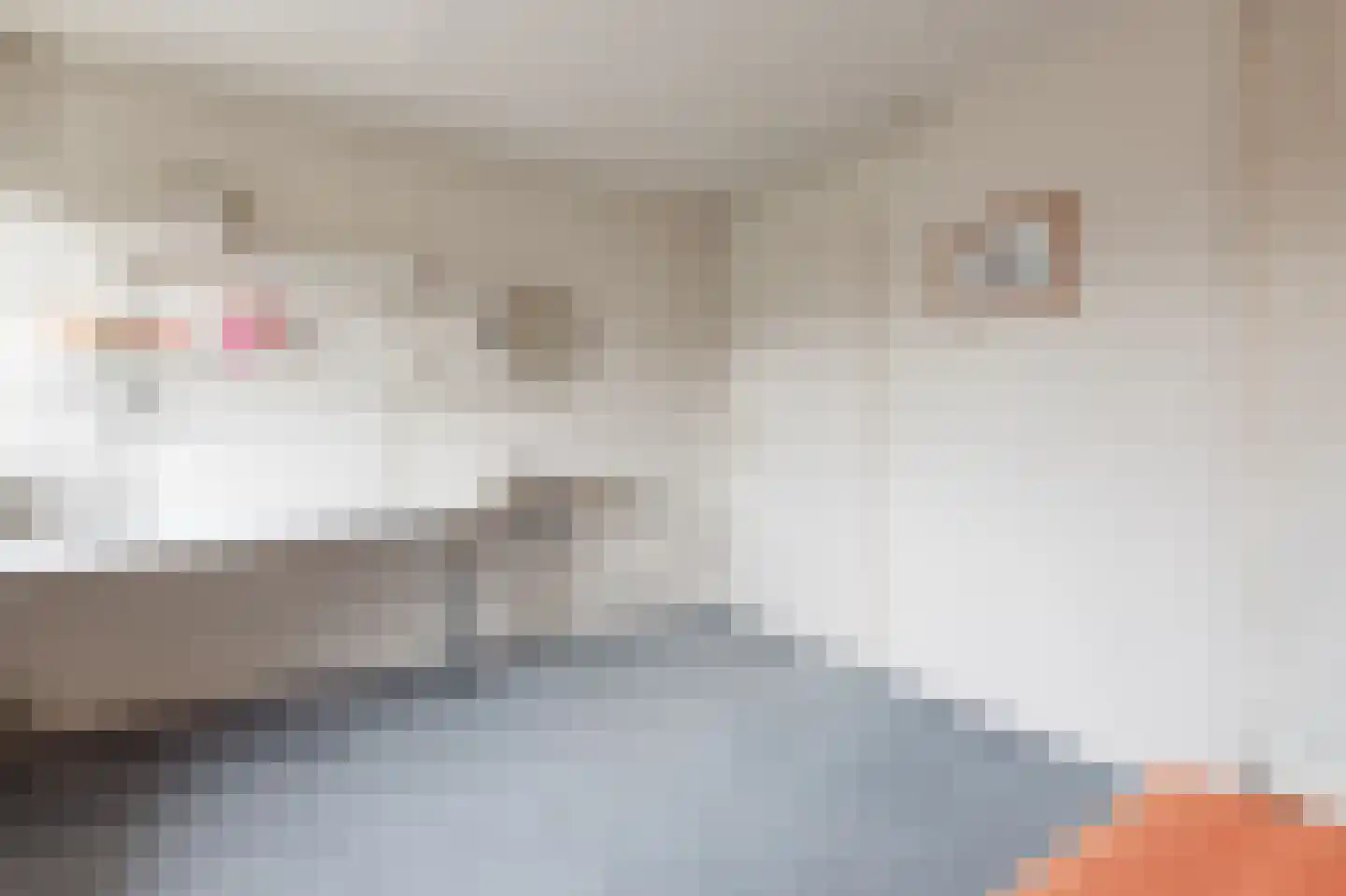 Kastanjelaan 1 a Heerde thumbnail 26