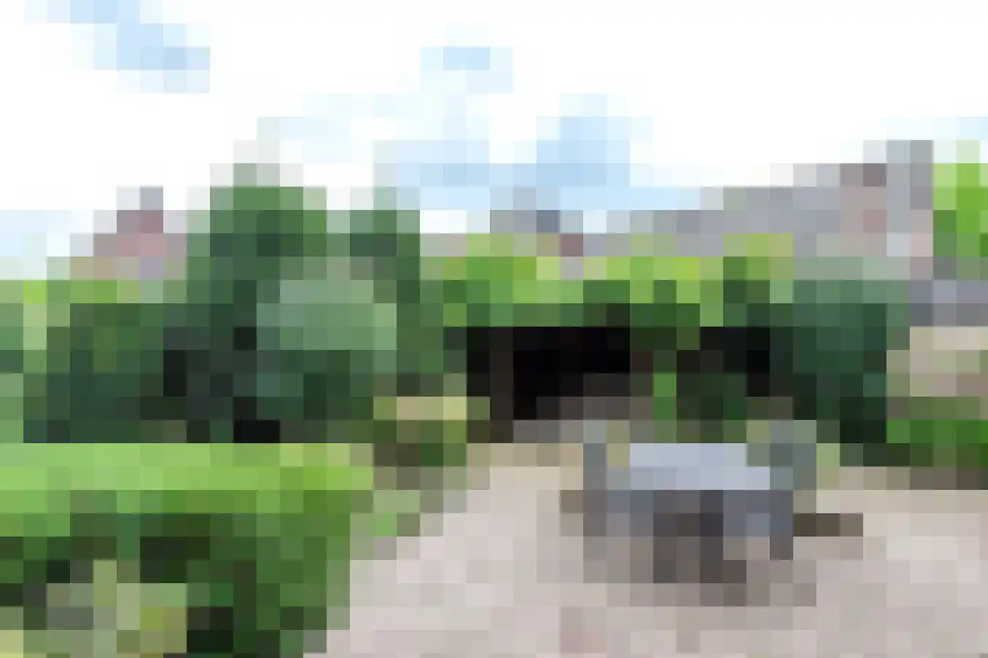 Kastanjelaan 1 a Heerde thumbnail 38