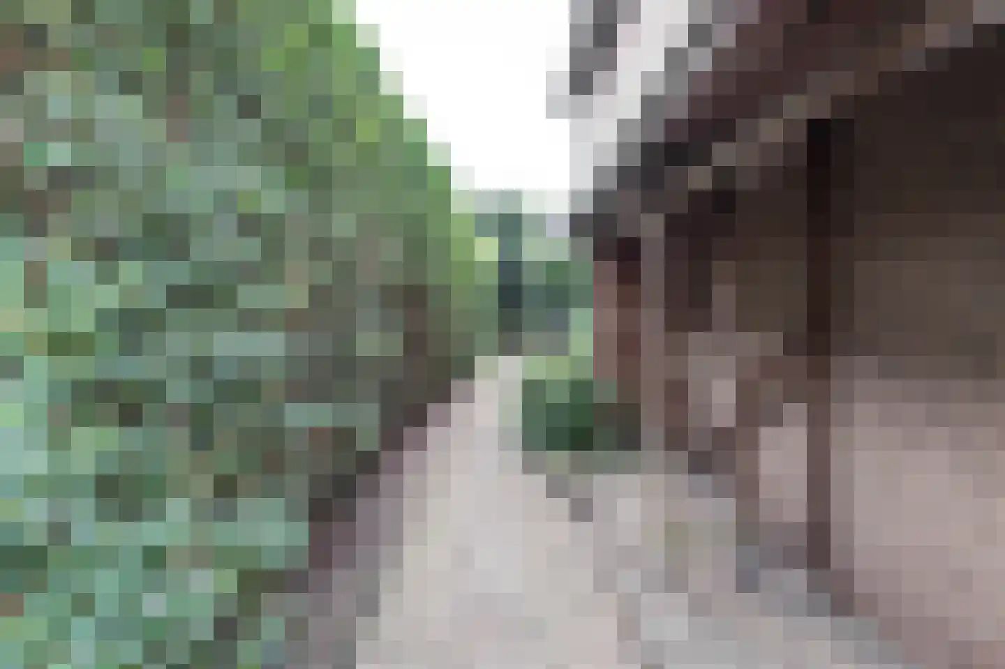 Kastanjelaan 1 a Heerde thumbnail 40