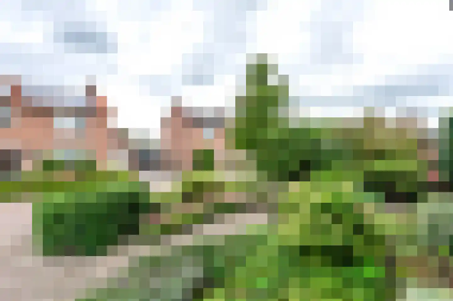 Kastanjelaan 1 a Heerde thumbnail 41