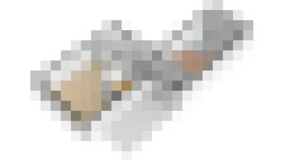 Kastanjelaan 1 a Heerde thumbnail 46