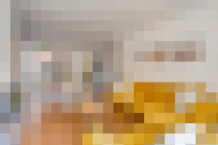 Kastanjelaan 1 Alkmaar thumbnail 11