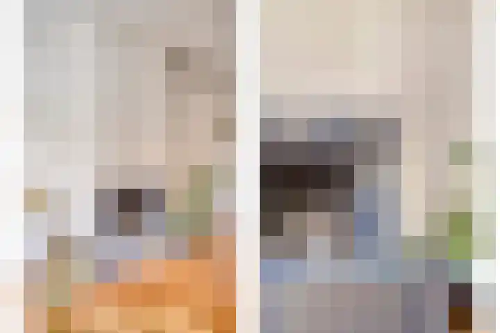 Kastanjelaan 1 Alkmaar thumbnail 12