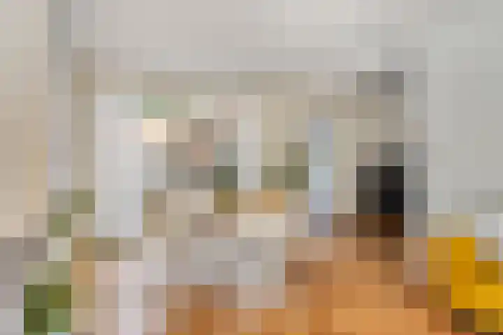 Kastanjelaan 1 Alkmaar thumbnail 13