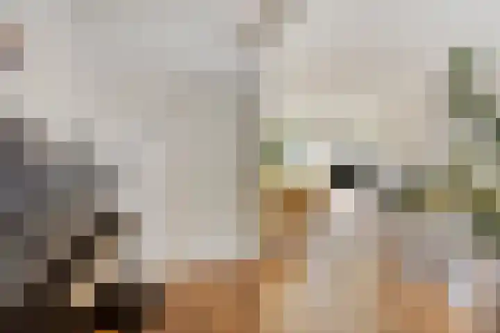 Kastanjelaan 1 Alkmaar thumbnail 16
