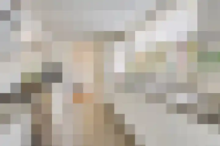 Kastanjelaan 1 Alkmaar thumbnail 18