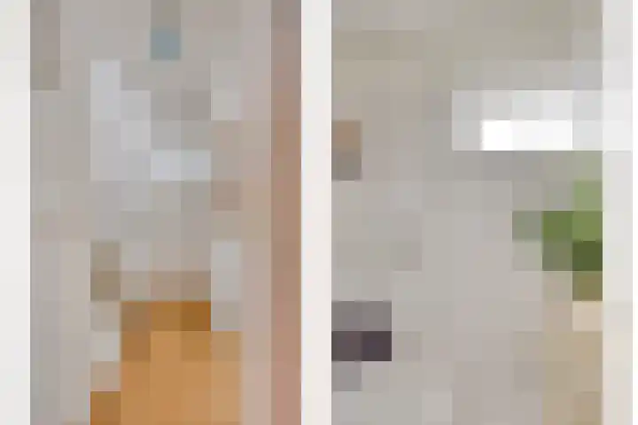 Kastanjelaan 1 Alkmaar thumbnail 22