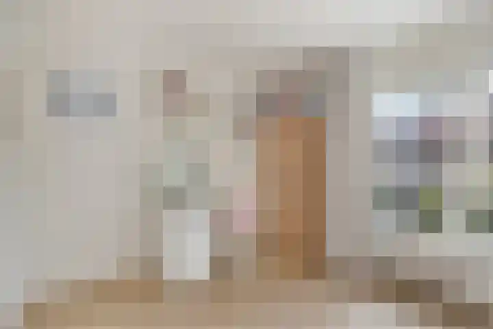 Kastanjelaan 1 Alkmaar thumbnail 26