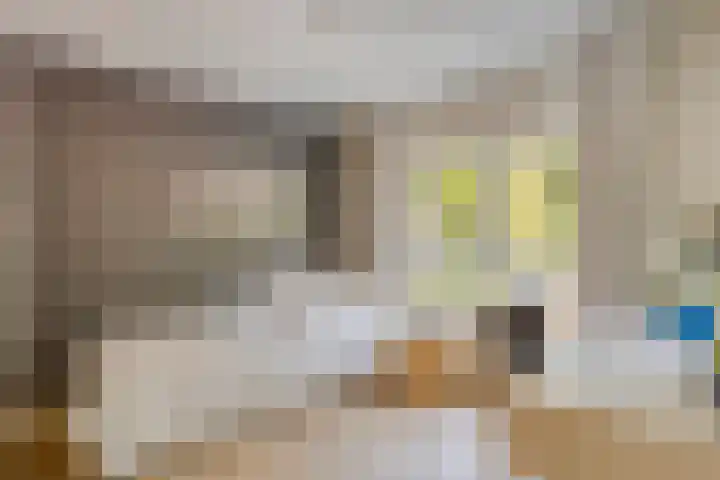 Kastanjelaan 1 Alkmaar thumbnail 28