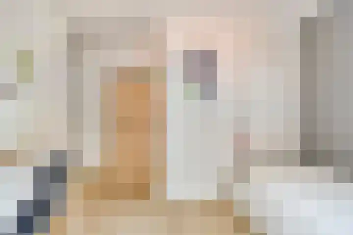 Kastanjelaan 1 Alkmaar thumbnail 29