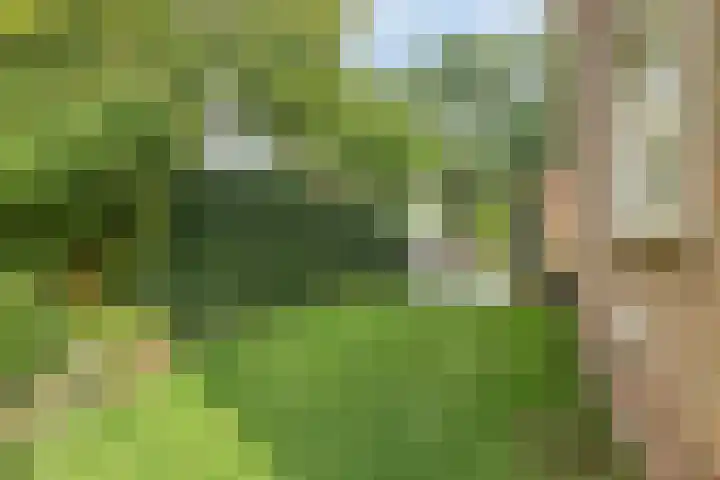 Kastanjelaan 1 Alkmaar thumbnail 36