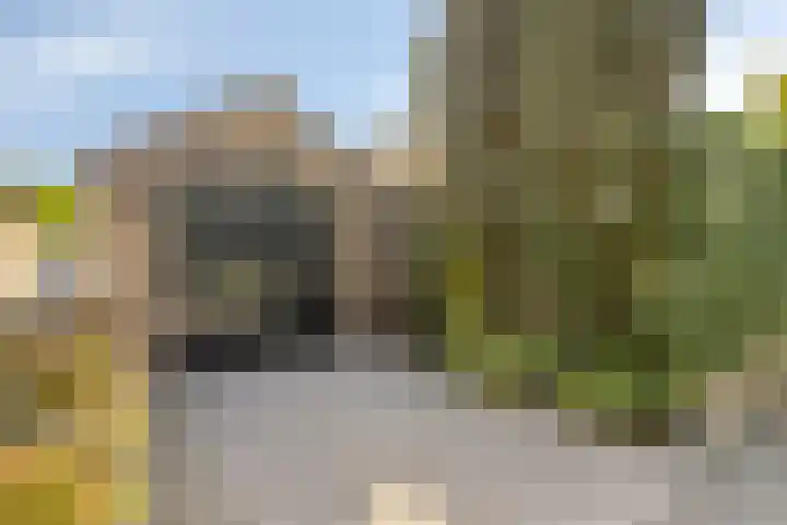 Kastanjelaan 1 Alkmaar thumbnail 40
