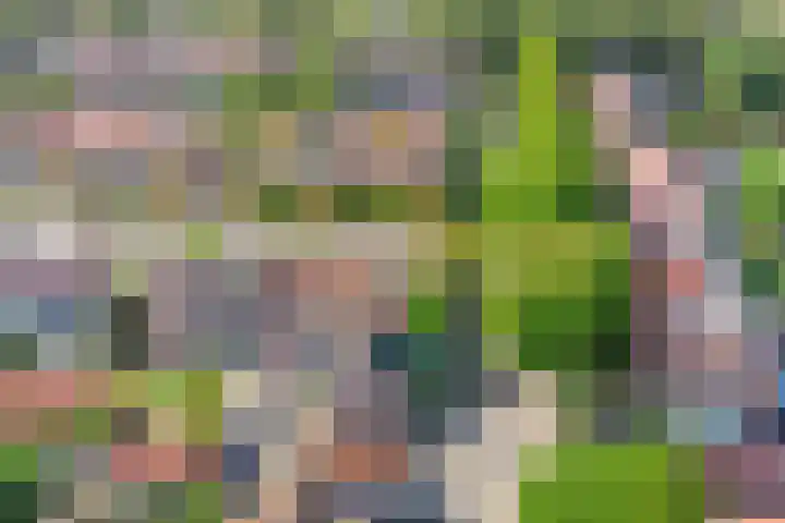 Kastanjelaan 1 Alkmaar thumbnail 41