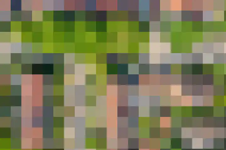 Kastanjelaan 1 Alkmaar thumbnail 42