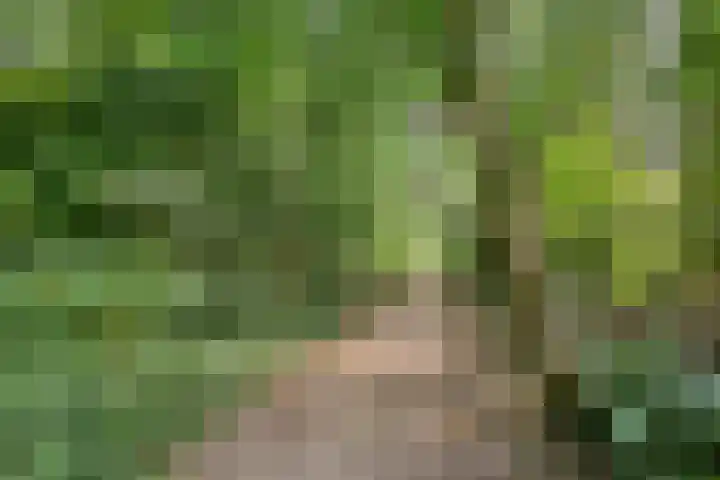 Kastanjelaan 1 Alkmaar thumbnail 46
