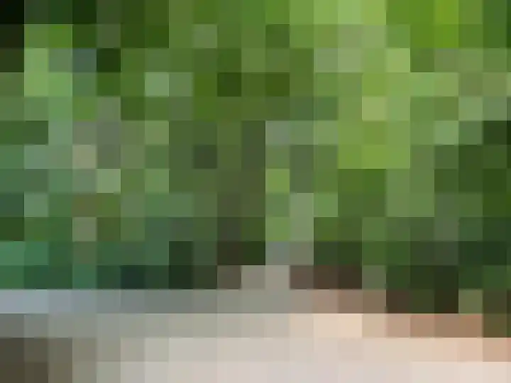Kastanjelaan 1 Alkmaar thumbnail 48