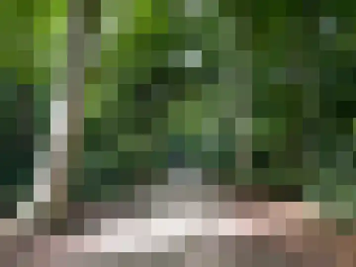 Kastanjelaan 1 Alkmaar thumbnail 49