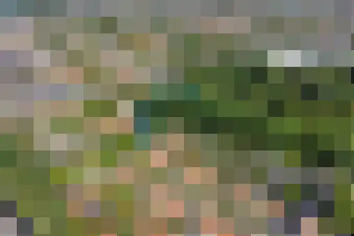 Kastanjelaan 1 Alkmaar thumbnail 5