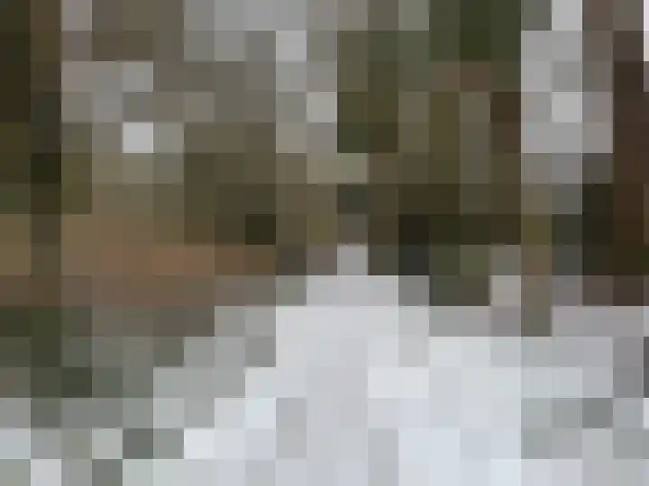 Kastanjelaan 1 Alkmaar thumbnail 50