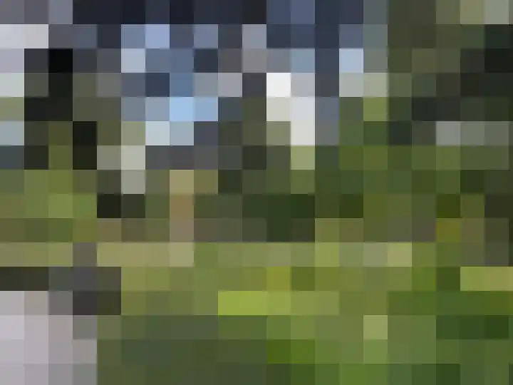 Kastanjelaan 1 Alkmaar thumbnail 51
