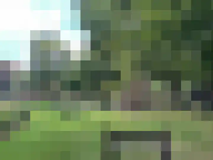 Kastanjelaan 1 Alkmaar thumbnail 52