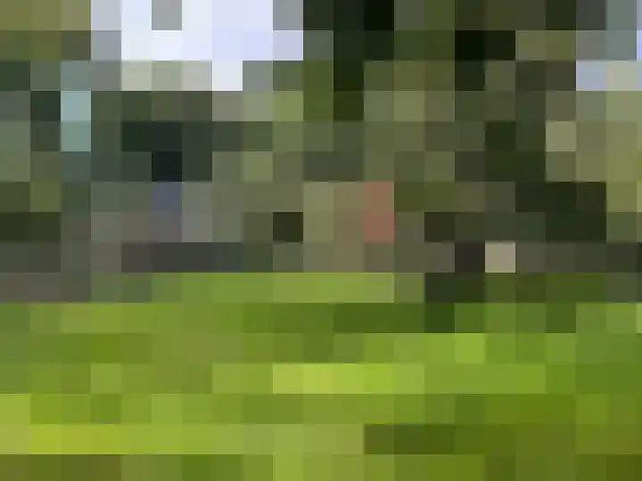Kastanjelaan 1 Alkmaar thumbnail 55