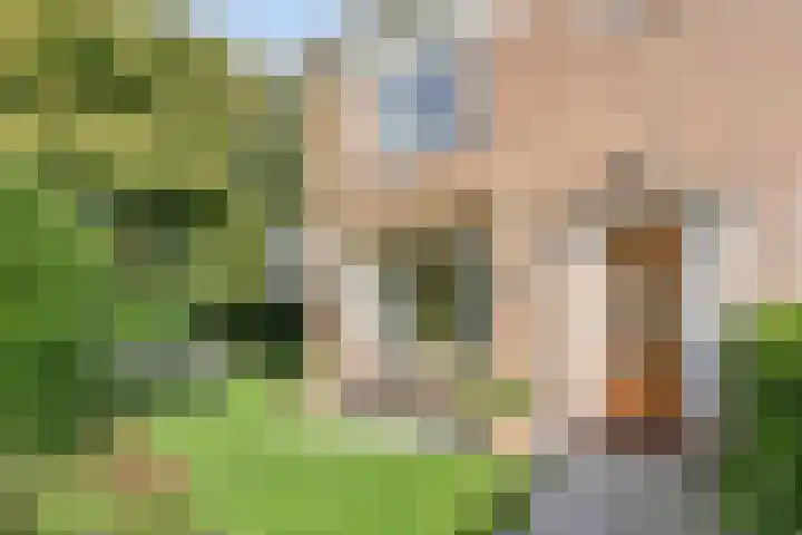 Kastanjelaan 1 Alkmaar thumbnail 7
