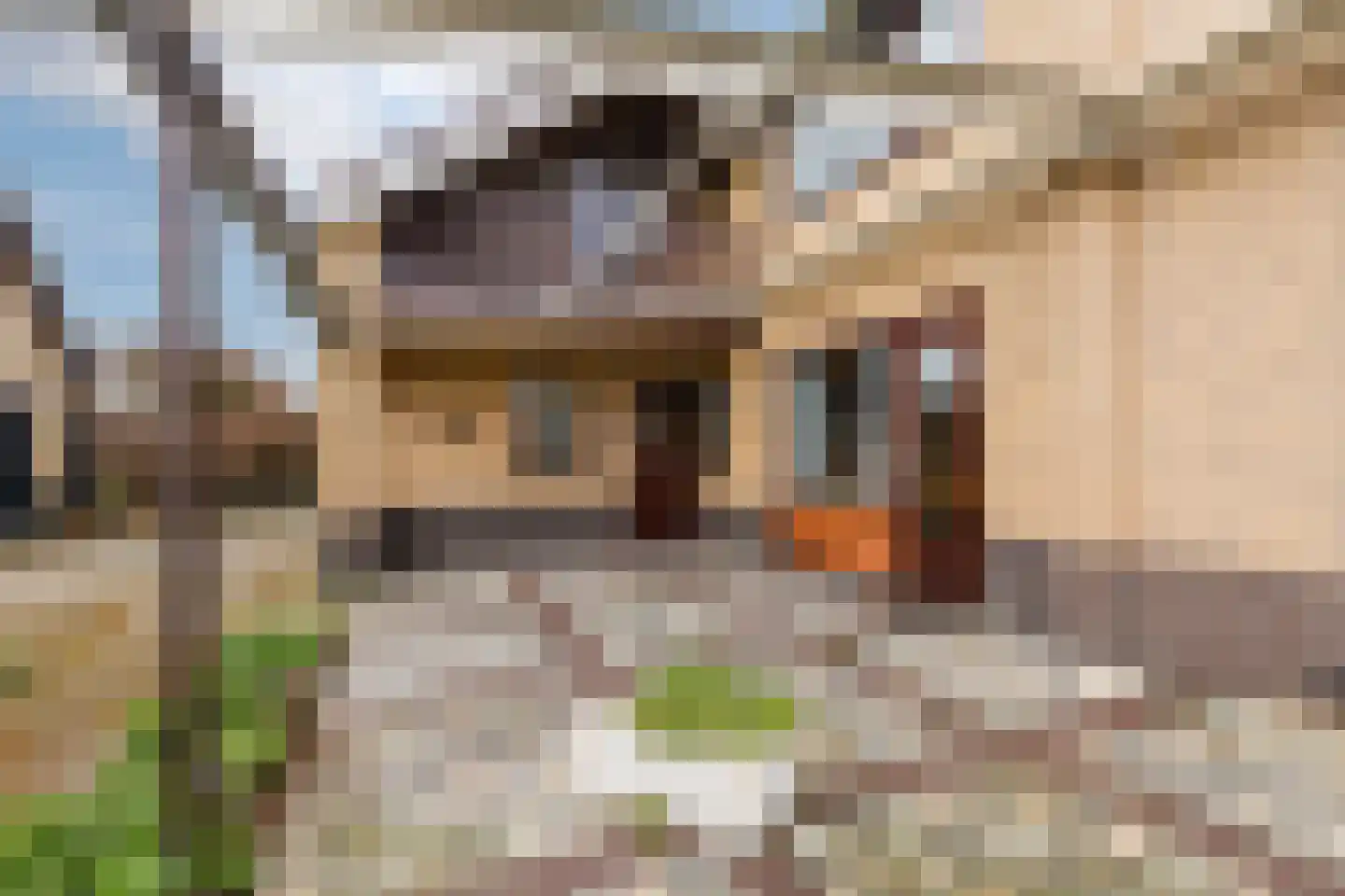 Kastanjelaan 1 b Staphorst thumbnail 11