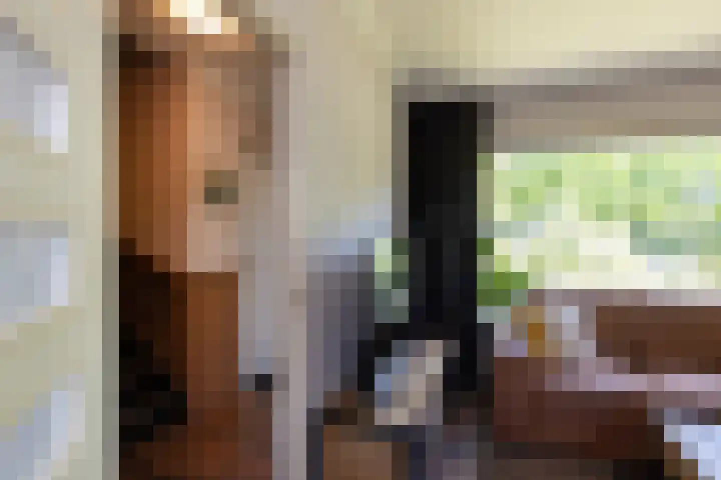 Kastanjelaan 1 Borculo thumbnail 14