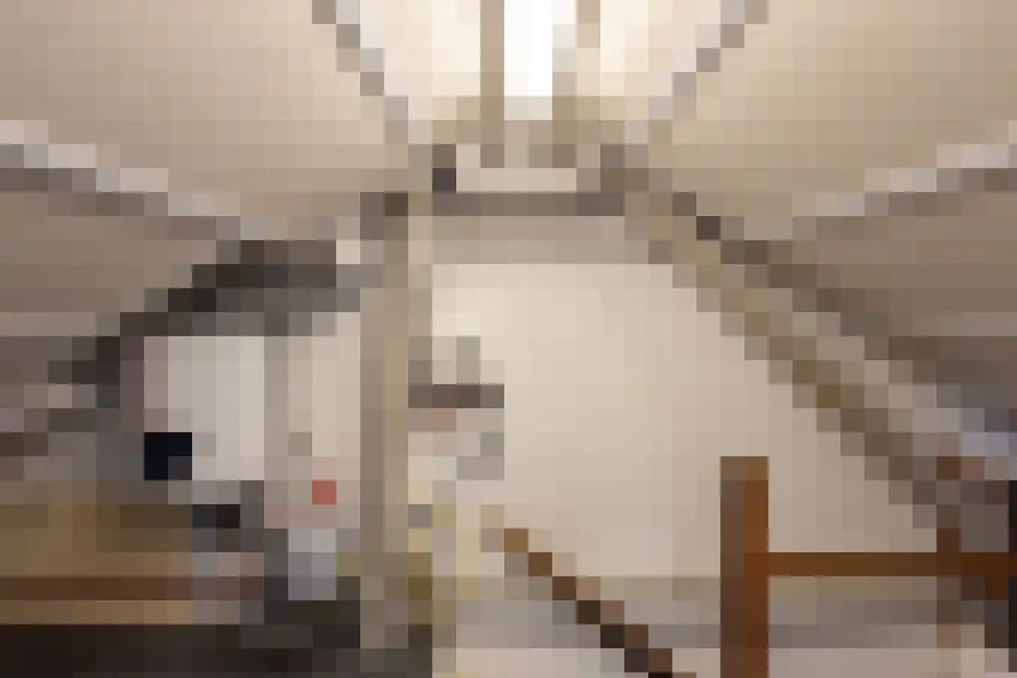 Kastanjelaan 1 Borculo thumbnail 27
