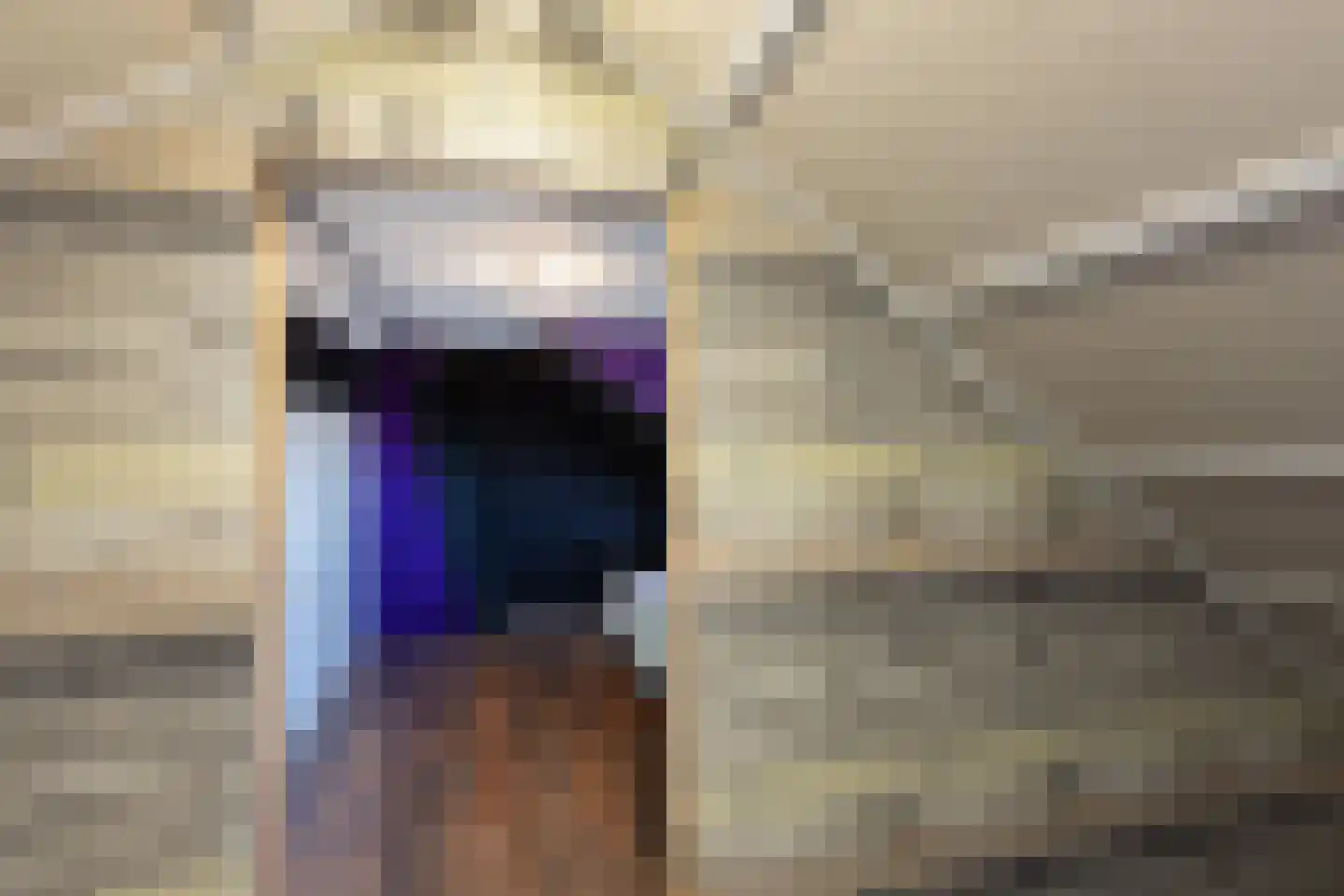 Kastanjelaan 1 Borculo thumbnail 28