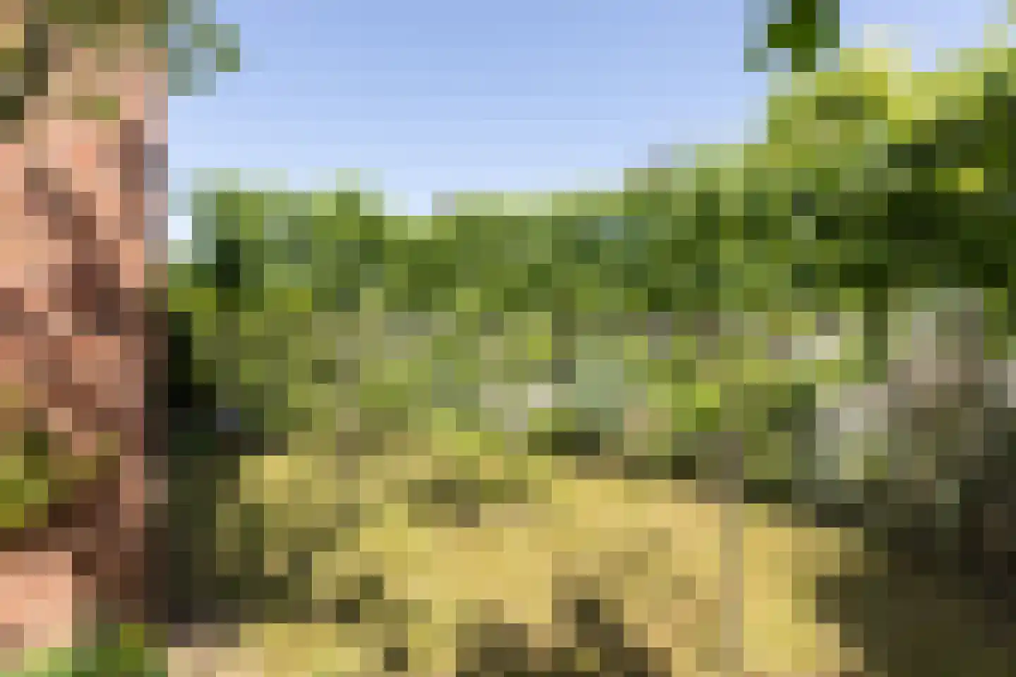Kastanjelaan 1 Borculo thumbnail 36