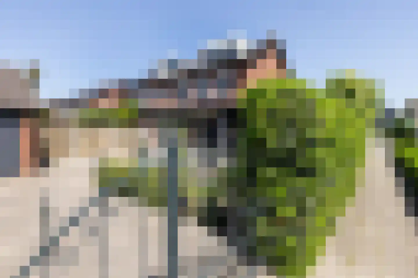 Kastanjelaan 1 Borculo thumbnail 37