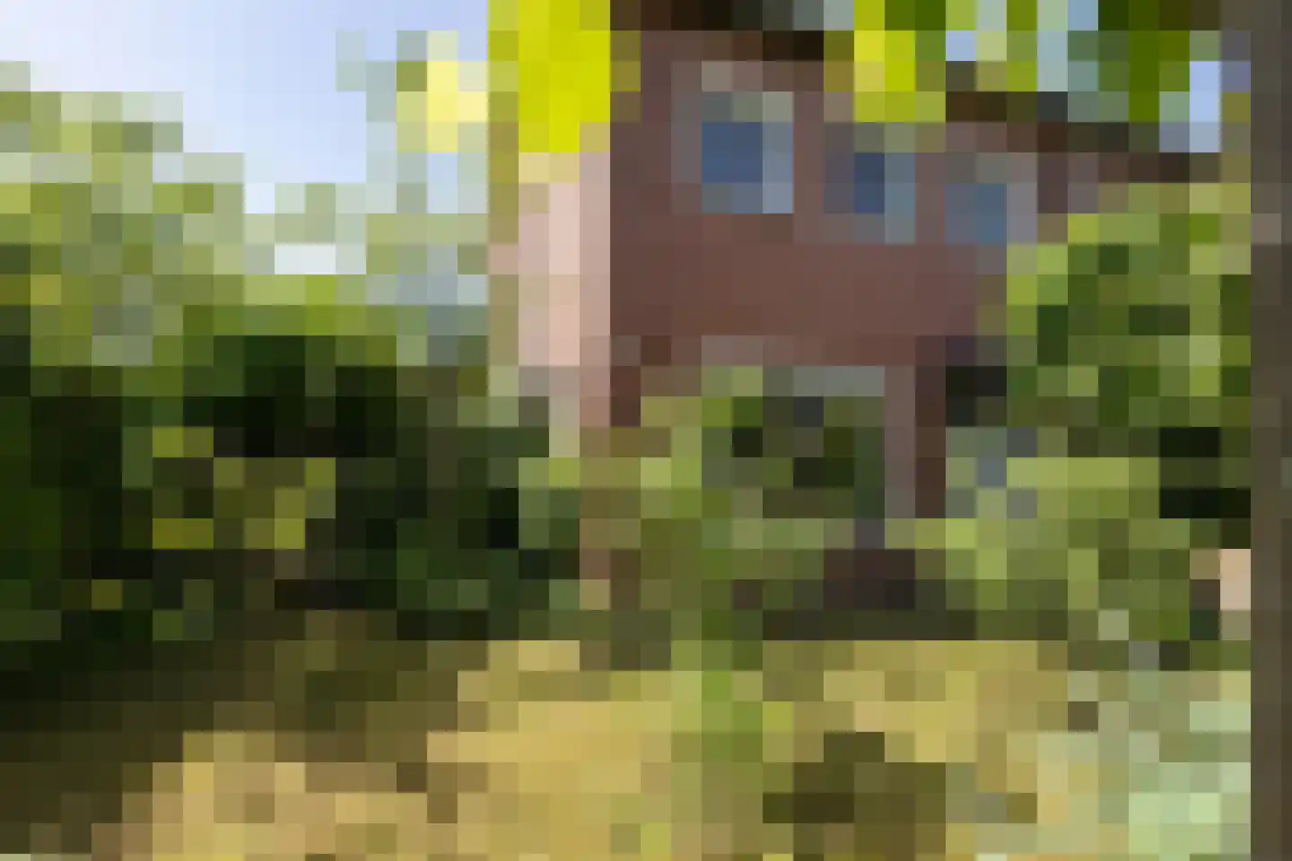 Kastanjelaan 1 Borculo thumbnail 39