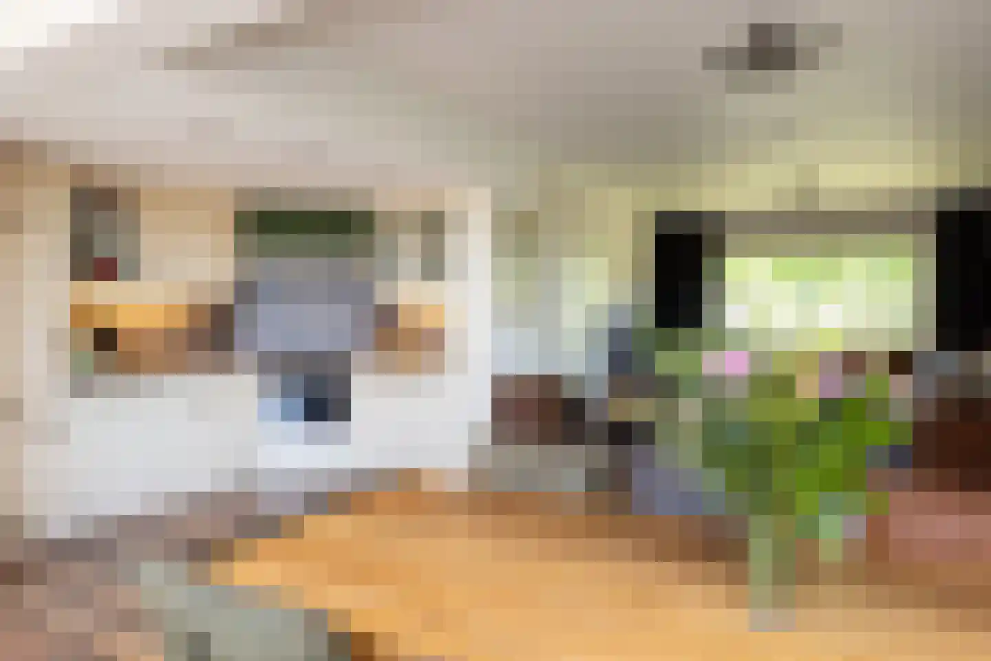 Kastanjelaan 1 Borculo thumbnail 9