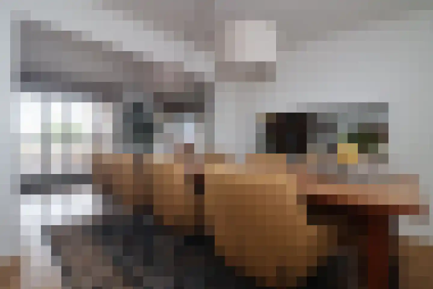 Kastanjelaan 1 Bunde thumbnail 11