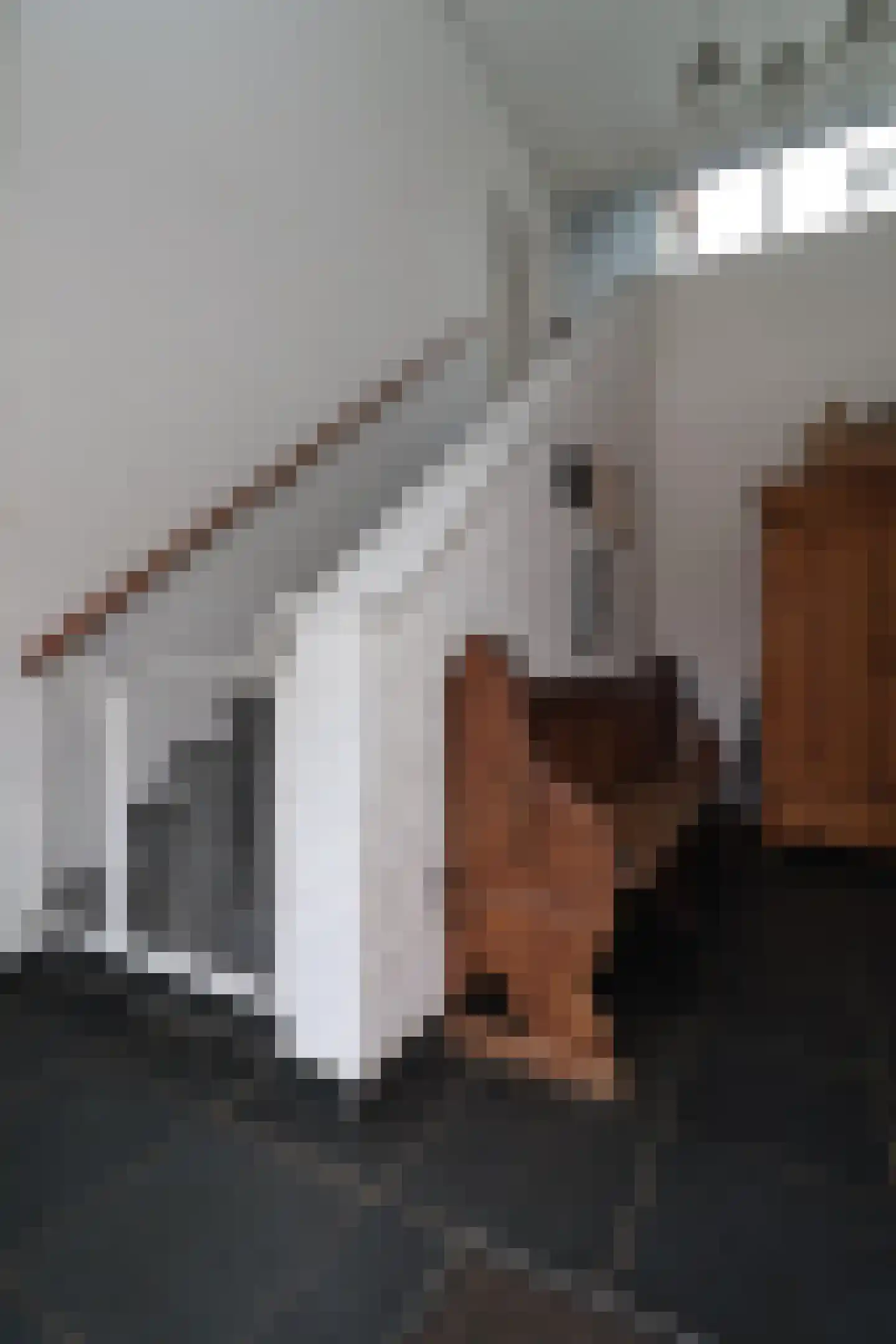 Kastanjelaan 1 Bunde thumbnail 15