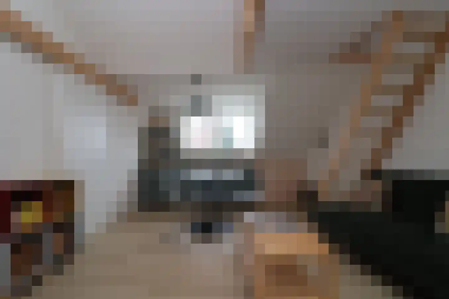 Kastanjelaan 1 Bunde thumbnail 19