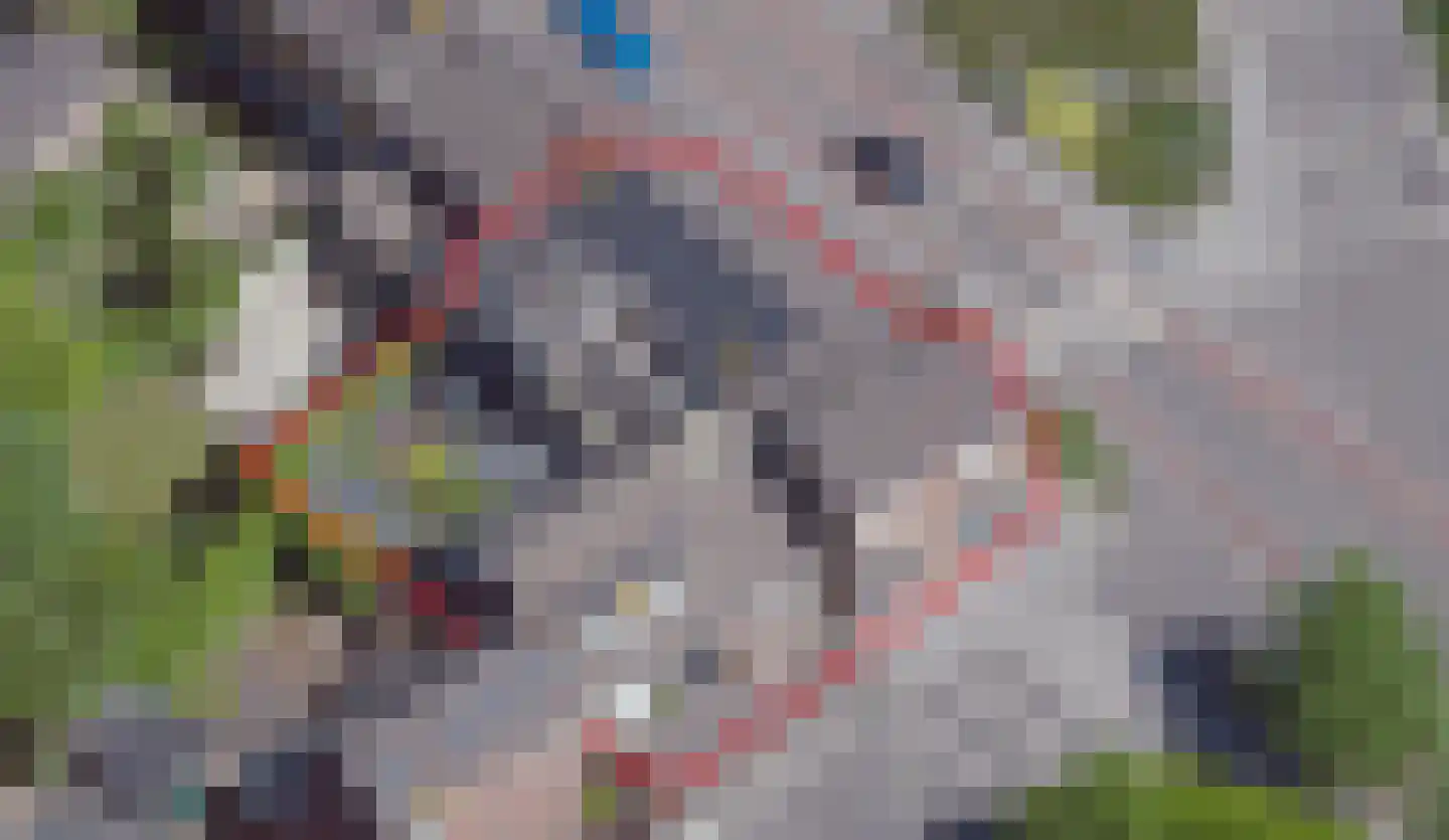 Kastanjelaan 1 Bunde thumbnail 23