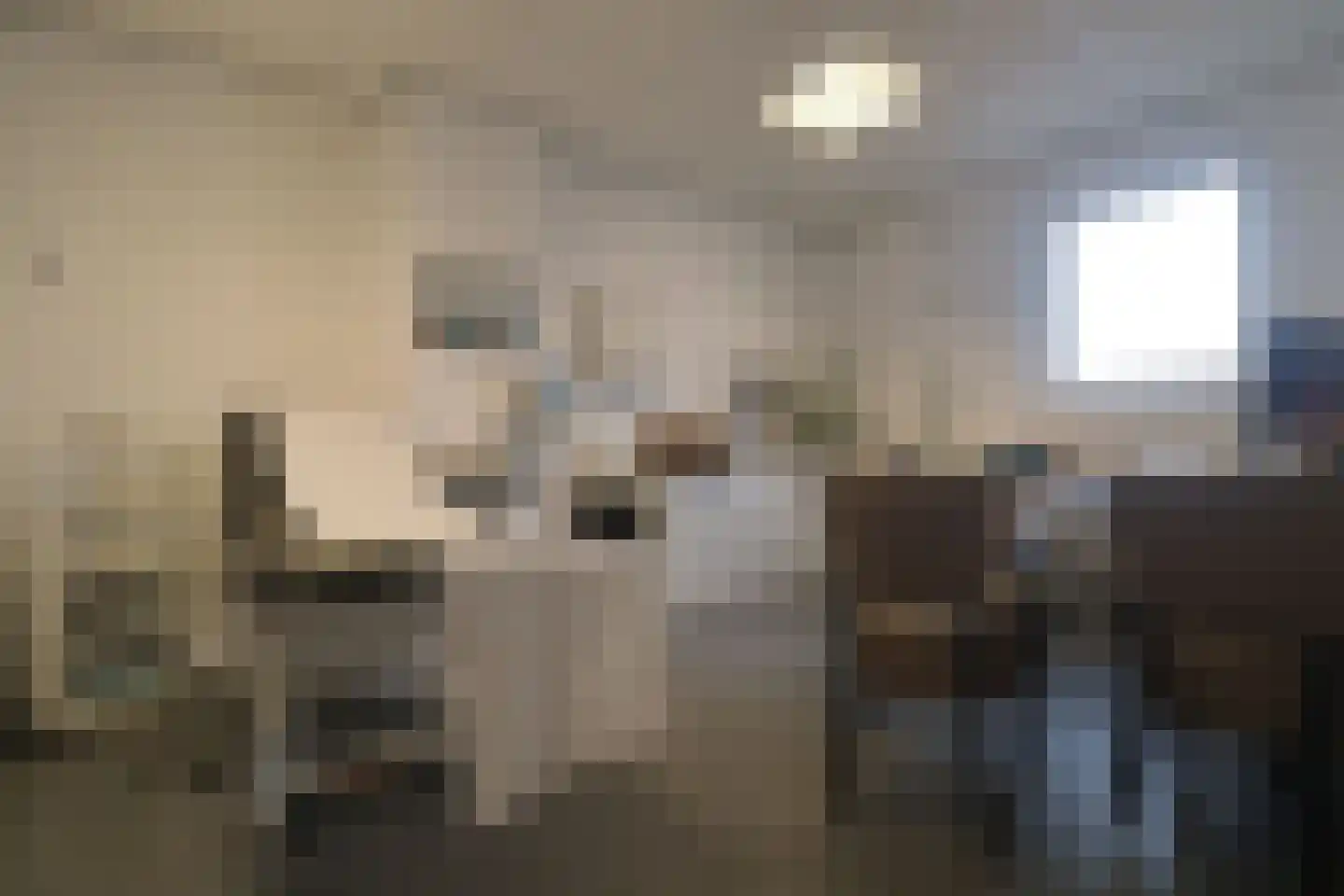 Kastanjelaan 1 Bunde thumbnail 26