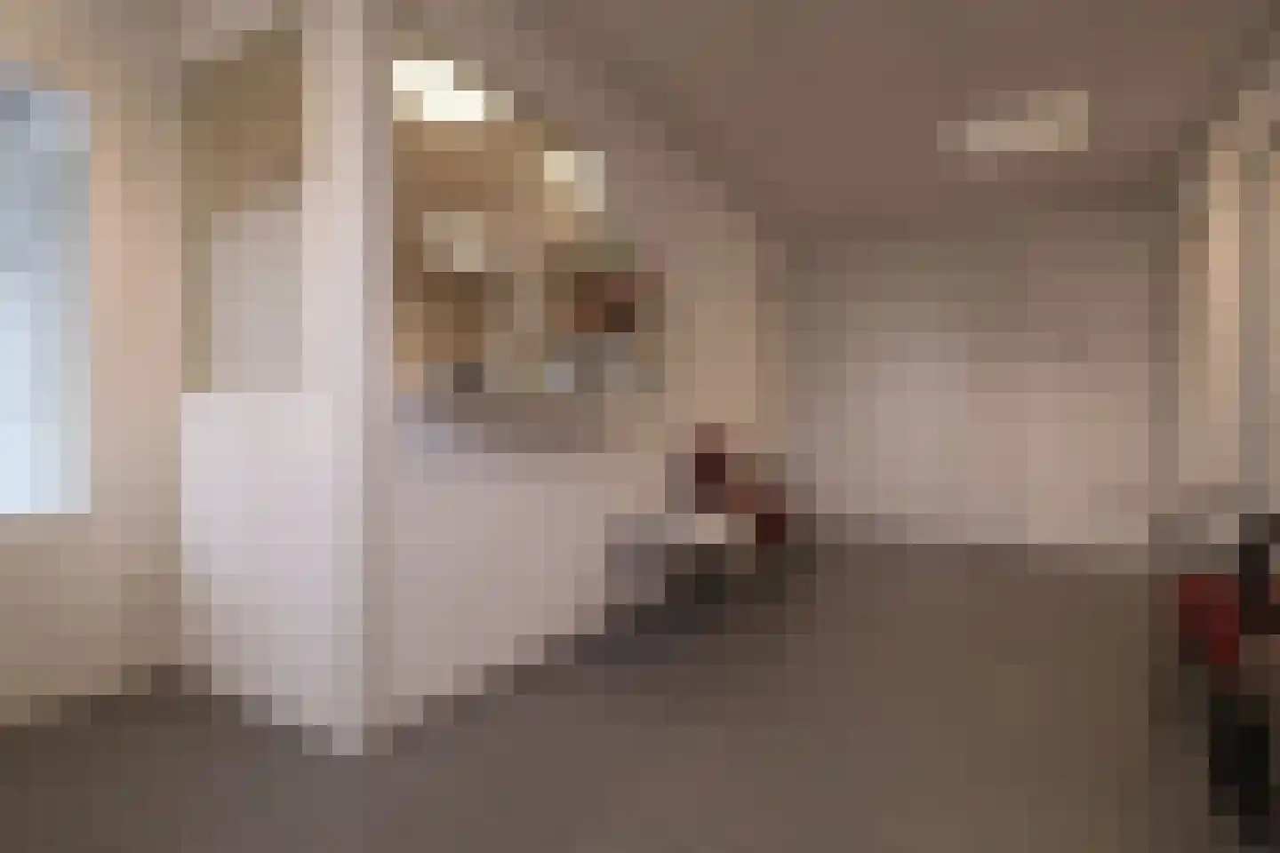 Kastanjelaan 1 Bunde thumbnail 32