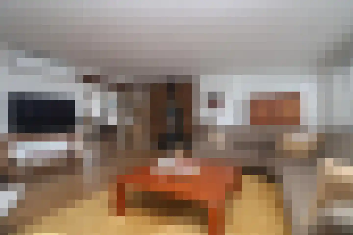 Kastanjelaan 1 Bunde thumbnail 5