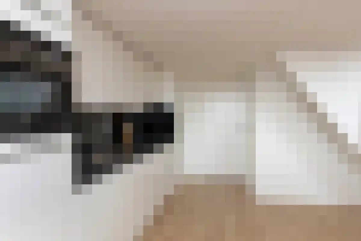Kastanjelaan 1 Eindhoven thumbnail 5