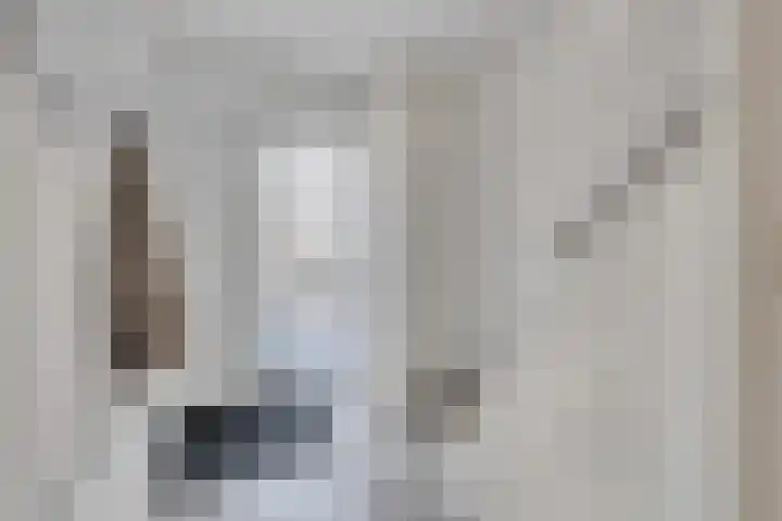 Kastanjelaan 10 Raalte thumbnail 11