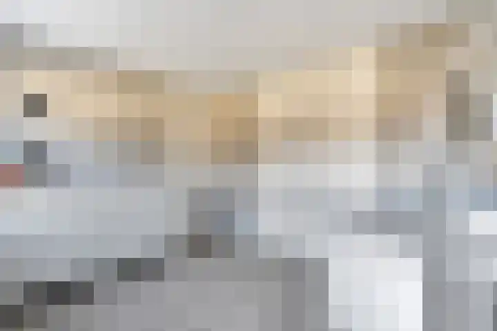 Kastanjelaan 10 Raalte thumbnail 17