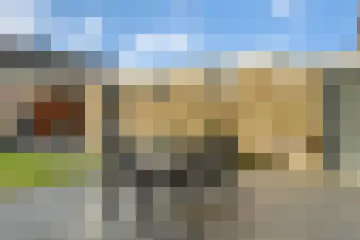 Kastanjelaan 10 Raalte thumbnail 25